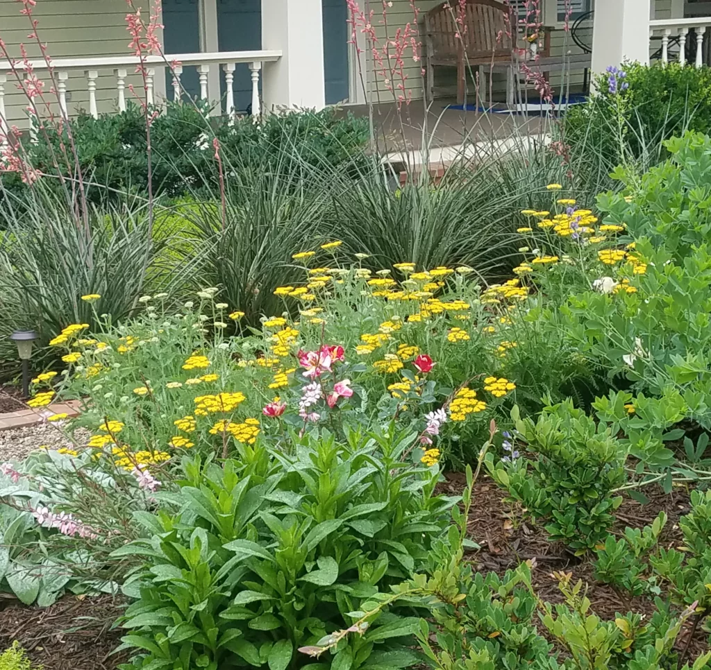 garden1